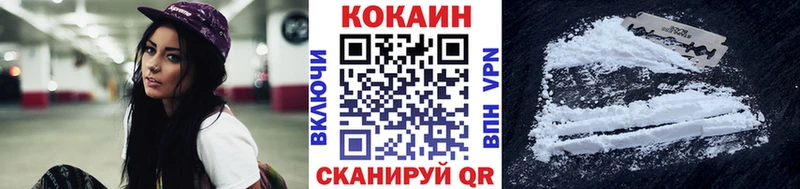Cocaine Эквадор  где купить наркоту  Прохладный 